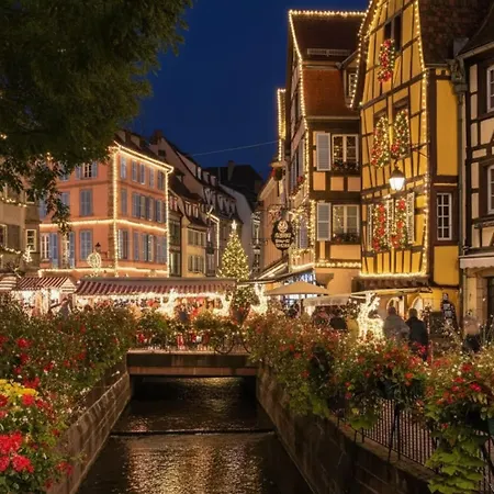 Lili & Derya - Apartment In Colmar, Mountain View, Private Parking * Colmar